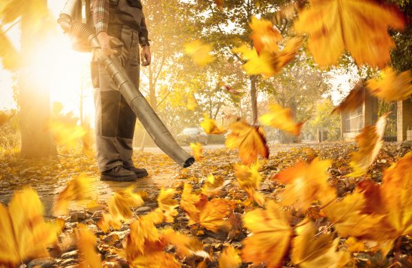 Leaf Blowing Service in State College