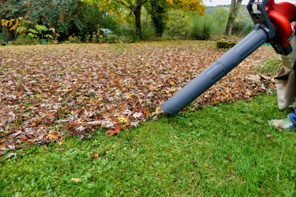 Leaf Vacuuming Service in State College
