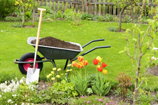 Spring Yard Cleanup in State College