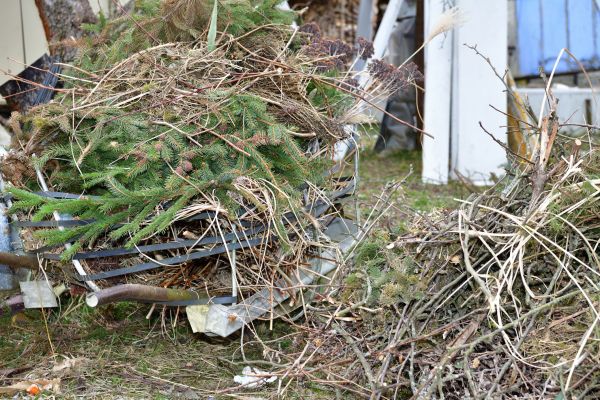 Yard Waste Removal Service in State College