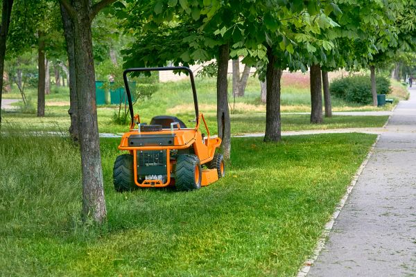 Landscaping Cleanup Service in State College