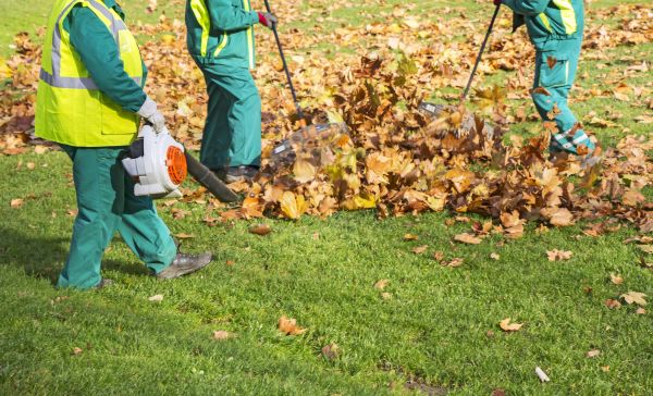 Leaf Maintenance in State College