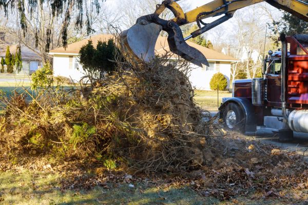 Storm Debris Removal in State College