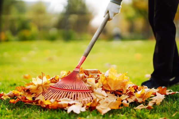 Ditch Leaf Removal in State College