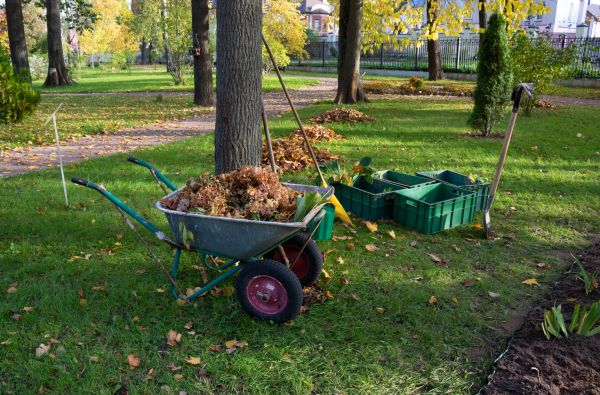 Leaf Clearing Service in State College