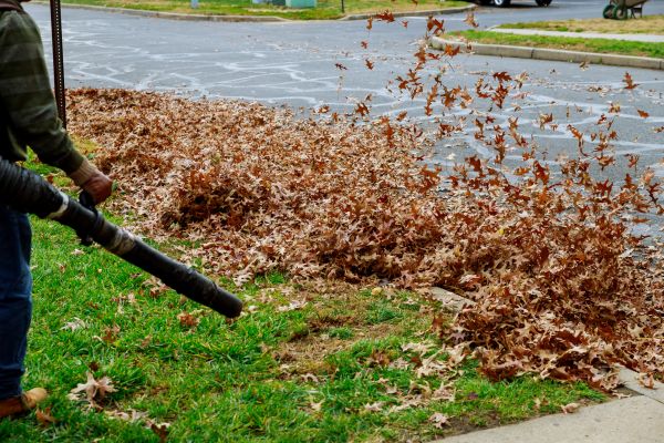 Garden Leaf Removal in State College