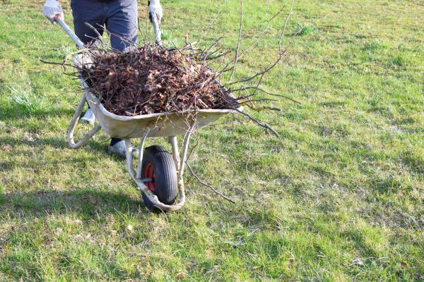 Yard Brush Removal in State College