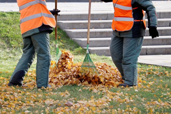 Leaf Hauling Service in State College