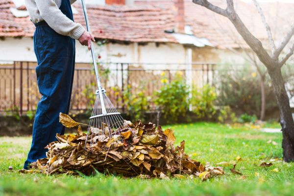 Spring Lawn Cleanup in State College