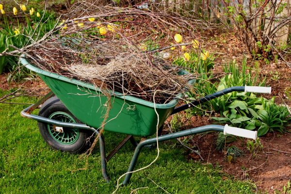 Lawn Waste Removal in State College
