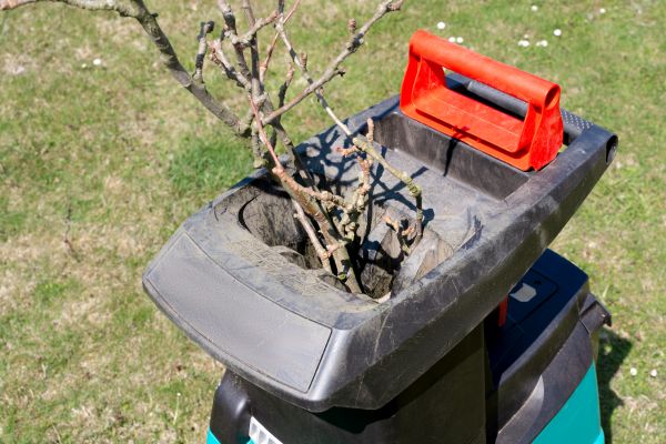 Brush Cleanup Service in State College