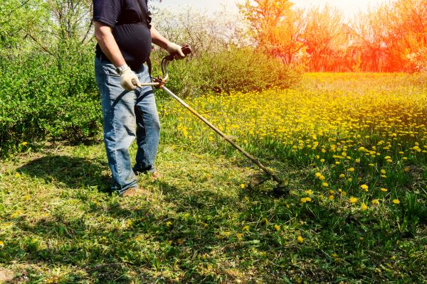 Yard Clearing Service in State College