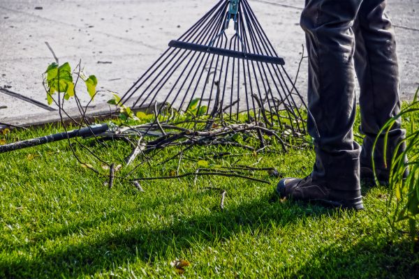 Yard Debris Cleanup in State College