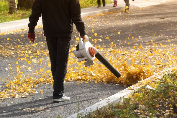 Commercial Leaf Removal in State College