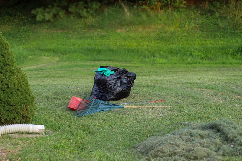 Lawn Waste Removal